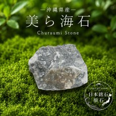 画像1: 美ら海石 原石 沖縄県産 Churaumi Stone 日本銘石 全国 47都道府県 正規代理店 国産 鉱物 コレクション 天然石 パワーストーン (1)