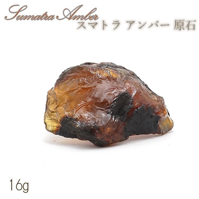 【国産】天然ブラックアンバー原石(小) 宝石 パワーストーン 化石 鉱物 天然石
