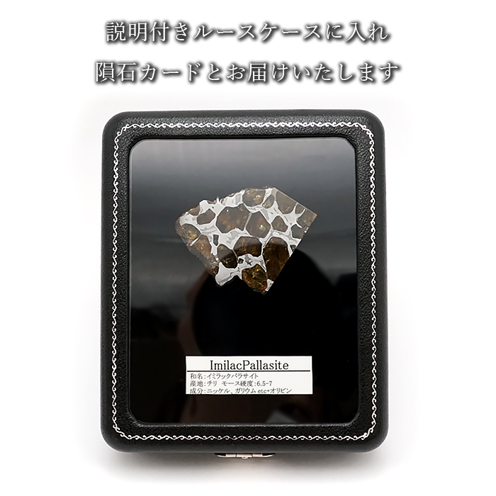 【 一点物 】 イミラックパラサイト 隕石 12.49g チリ産 パラサイト Imilac Pallasite 鉄隕石 【 希少 】 原石 天然石  パワーストーン カラーストーン