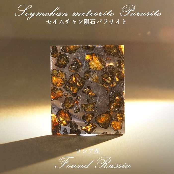 セイムチャン隕石 Seymchan Meteorite-