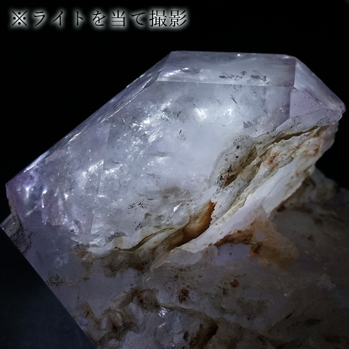 樹脂の化石【超激レア】 樹脂の化石【超激レア】 Amazon | 【N2 stone Natural】